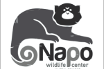 Napo Bn